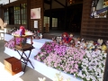 Japanese people celebrate the Buddha's Birthday, calling it HANAMATURI, means flower festival