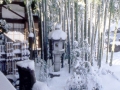 客殿から見た「成道の庭」の雪景色